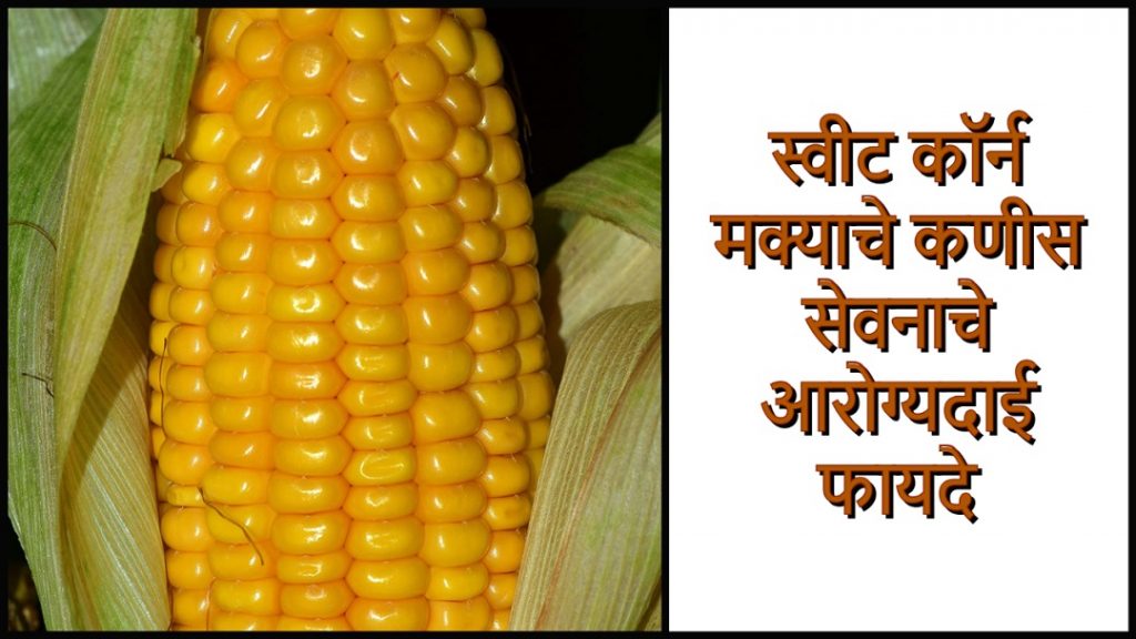 health-benefits-of-sweet-corn-in-marathi-royal-chef-sujata