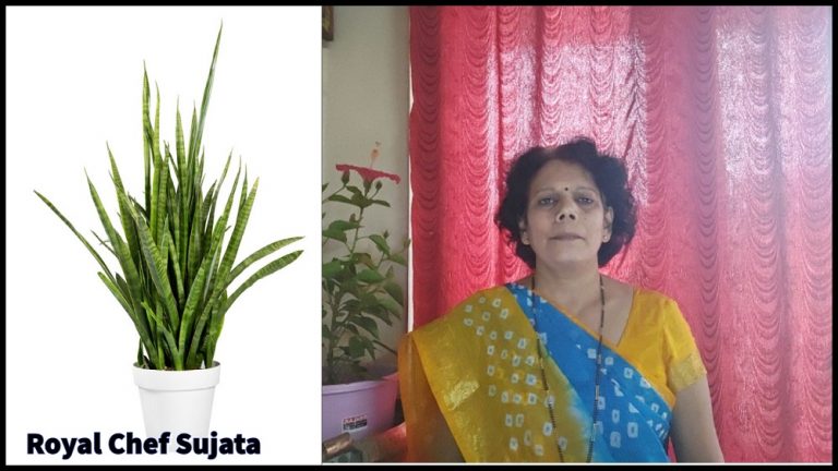 vastu-tips-benefits-of-snake-plant-at-home-and-place-in-marathi